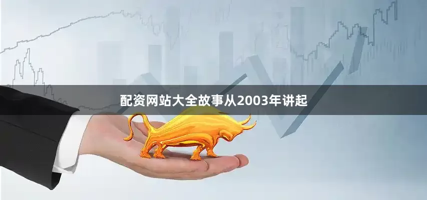配资网站大全故事从2003年讲起
