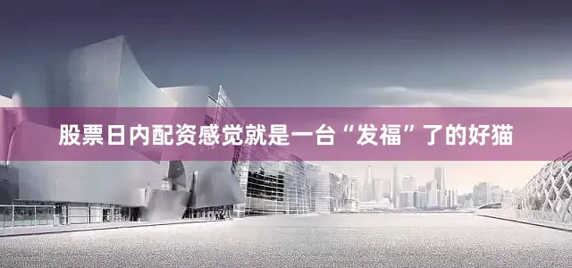 股票日内配资感觉就是一台“发福”了的好猫