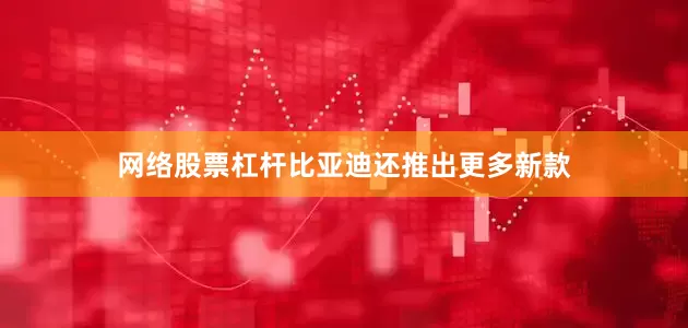 网络股票杠杆比亚迪还推出更多新款